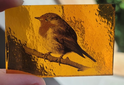 Stained glass robin amber - robin,