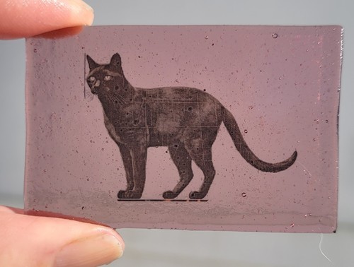 Stained glass black cat - black,