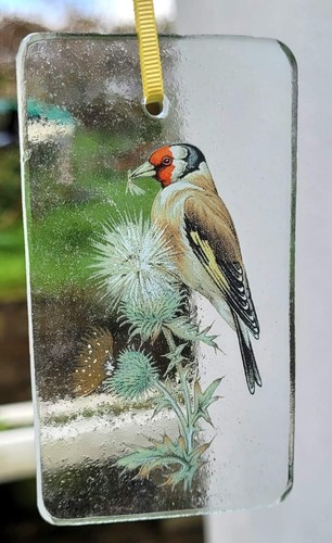 Suncatcher goldfinch bird - suncatcher,