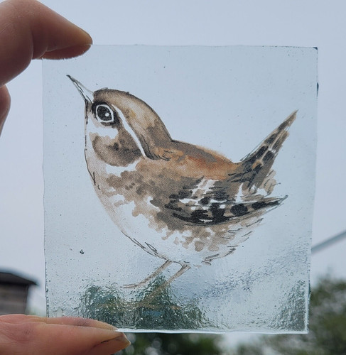 Stained glass wren - stained, bird