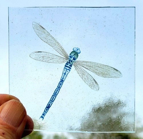 Stained glass dragonfly piece - dragonfly,