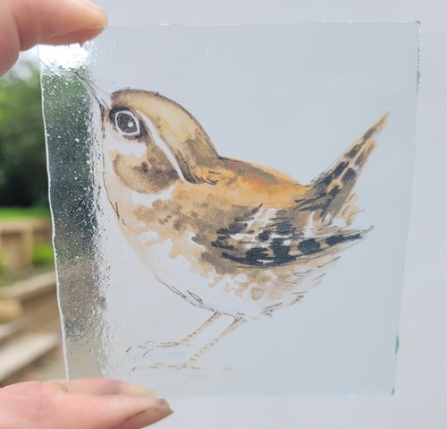 Stained glass wren bird - stained,