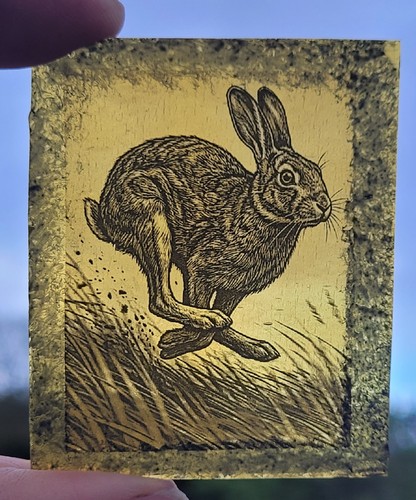 Stained glass hare permanently - glass,