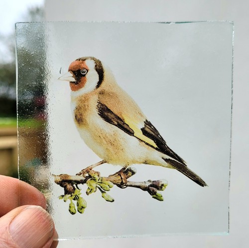 Stained glass goldfinch bird - glass,