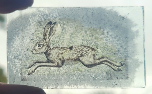Stained glass hare permanently - stained,