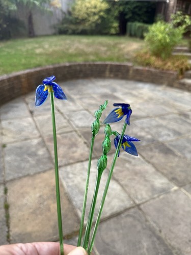 Glass bluebell flowers - glass,