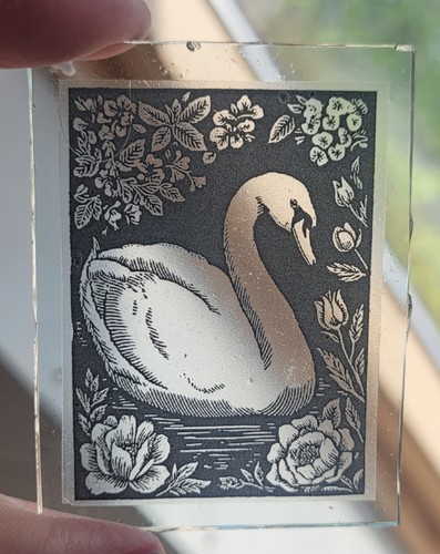 Stained glass swan - stained,