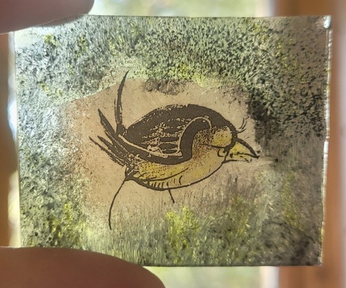 Stained glass bird medieval - glass,